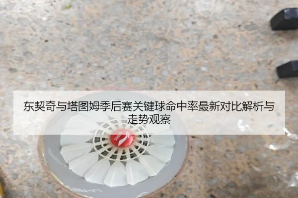 东契奇与塔图姆季后赛关键球命中率最新对比解析与走势观察